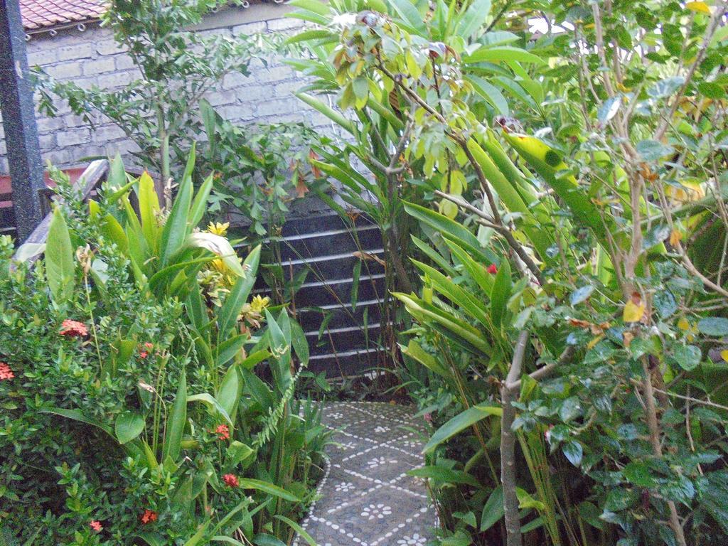 Titi Sedana Homestay อาเม็ด ภายนอก รูปภาพ